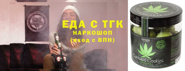 тгк Ельня